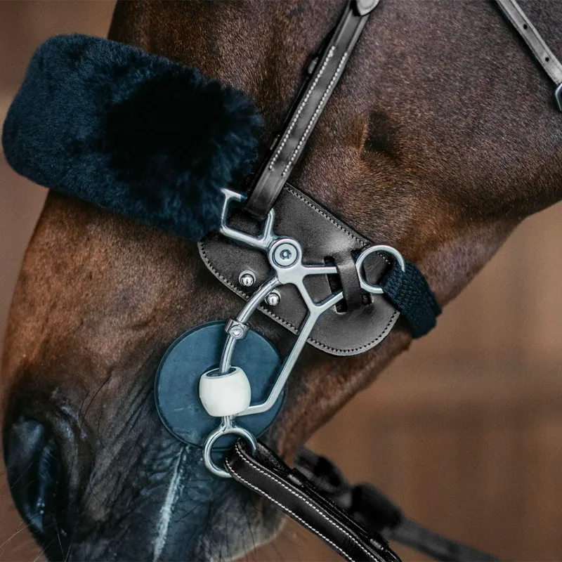 Dyon - Protection Hackamore cuir noir