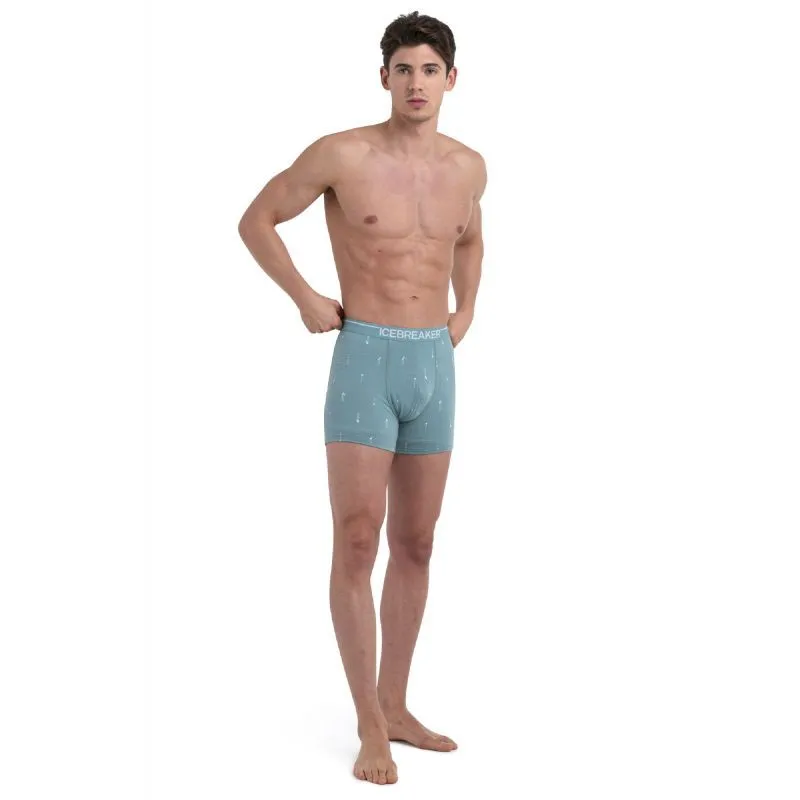 Icebreaker Merino Anatomica Boxers Palm Trail AOP - Boxer laine mérinos homme | Hardloop