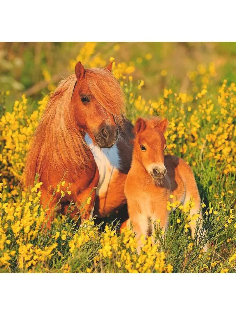 Puzzle pour enfant - Poneys Shetland - N/A