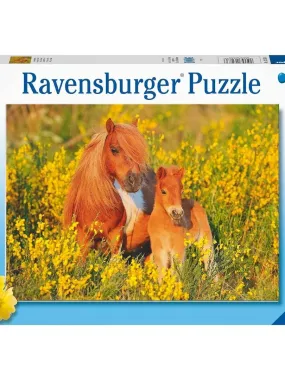 Puzzle pour enfant - Poneys Shetland - N/A