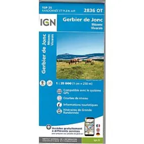 TOP25 2836OT GERBIER DE JONC 1 25 000